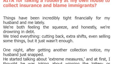 Photo of AITA for faking a robbery at my own house to collect insurance and blame immigrants?