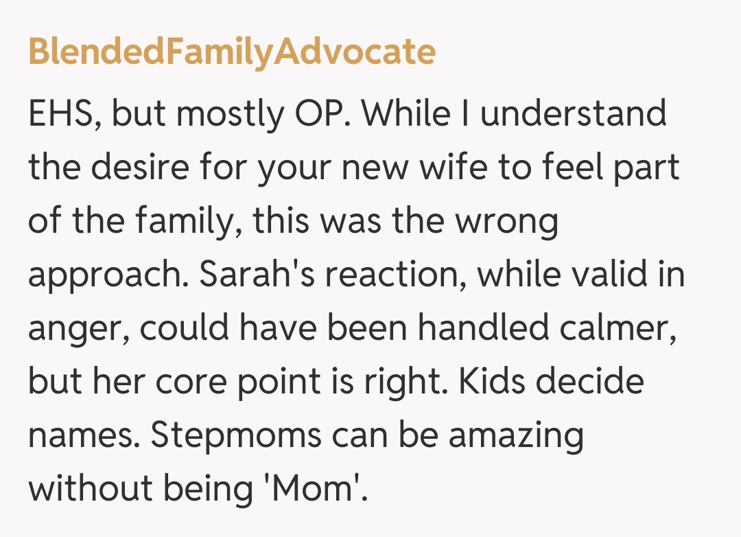 Comentariu de la BlendedFamilyAdvocate