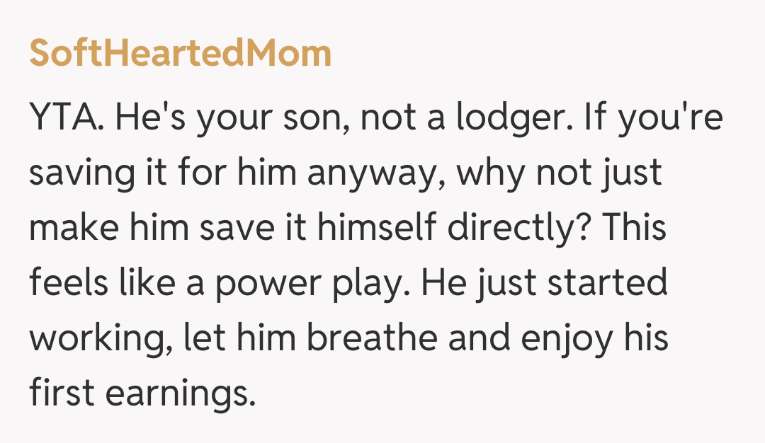 Comentariu de la SoftHeartedMom