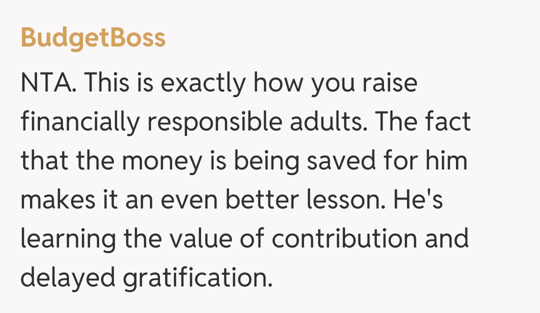 Comentariu de la BudgetBoss