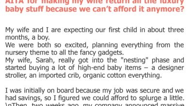 Photo of AITA for making my wife return all the luxury baby stuff because we can’t afford it anymore?
