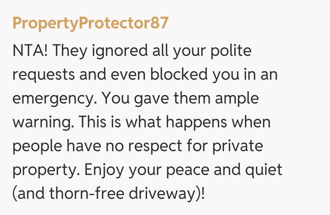 Comentariu de la PropertyProtector87