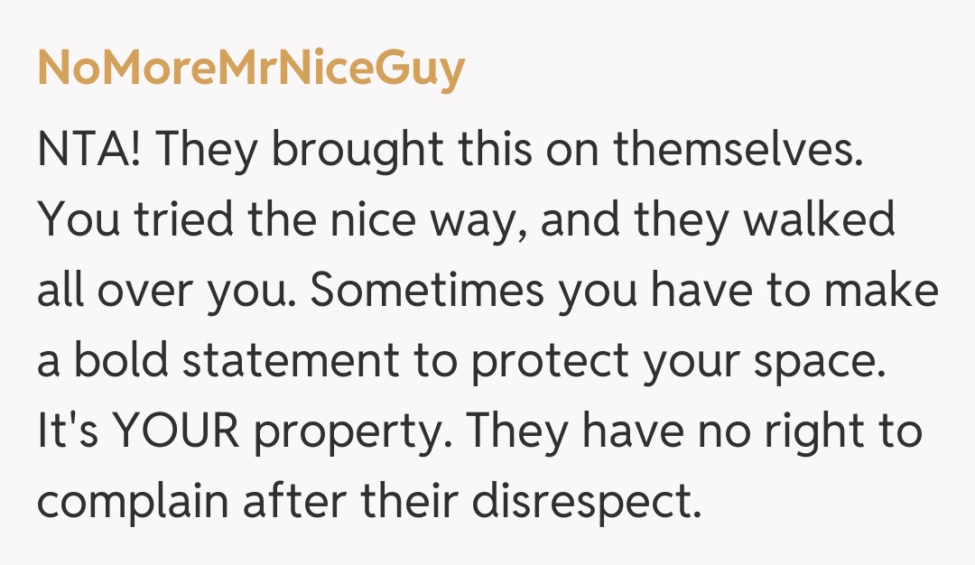 Comentariu de la NoMoreMrNiceGuy