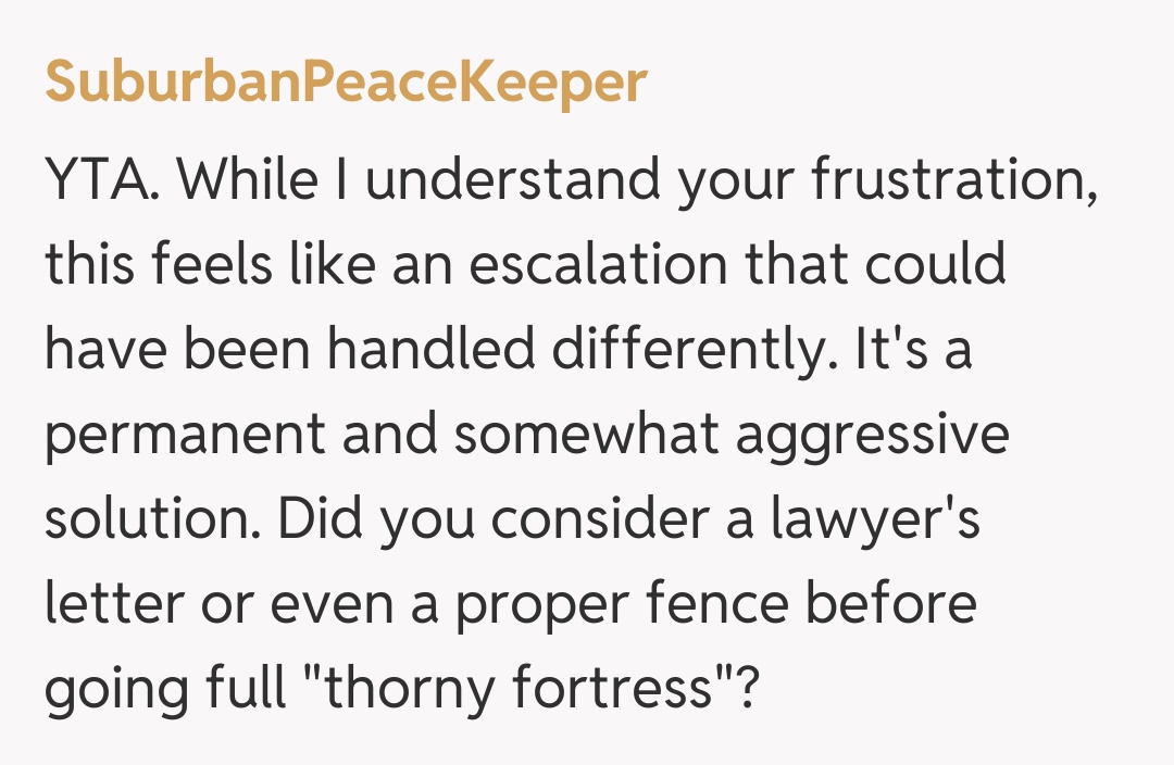 Comentariu de la SuburbanPeaceKeeper