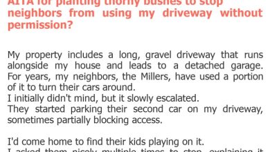 Photo of AITA for planting thorny bushes to stop neighbors from using my driveway without permission?