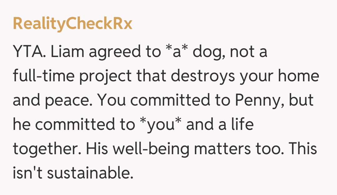 Comentariu de la RealityCheckRx