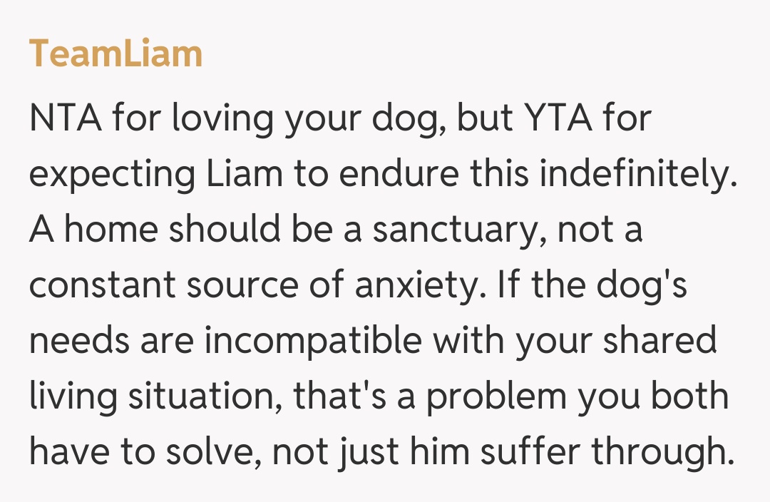 Comentariu de la TeamLiam