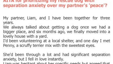 Photo of AITA for prioritizing my rescue dog with separation anxiety over my partner’s ‘peace’?