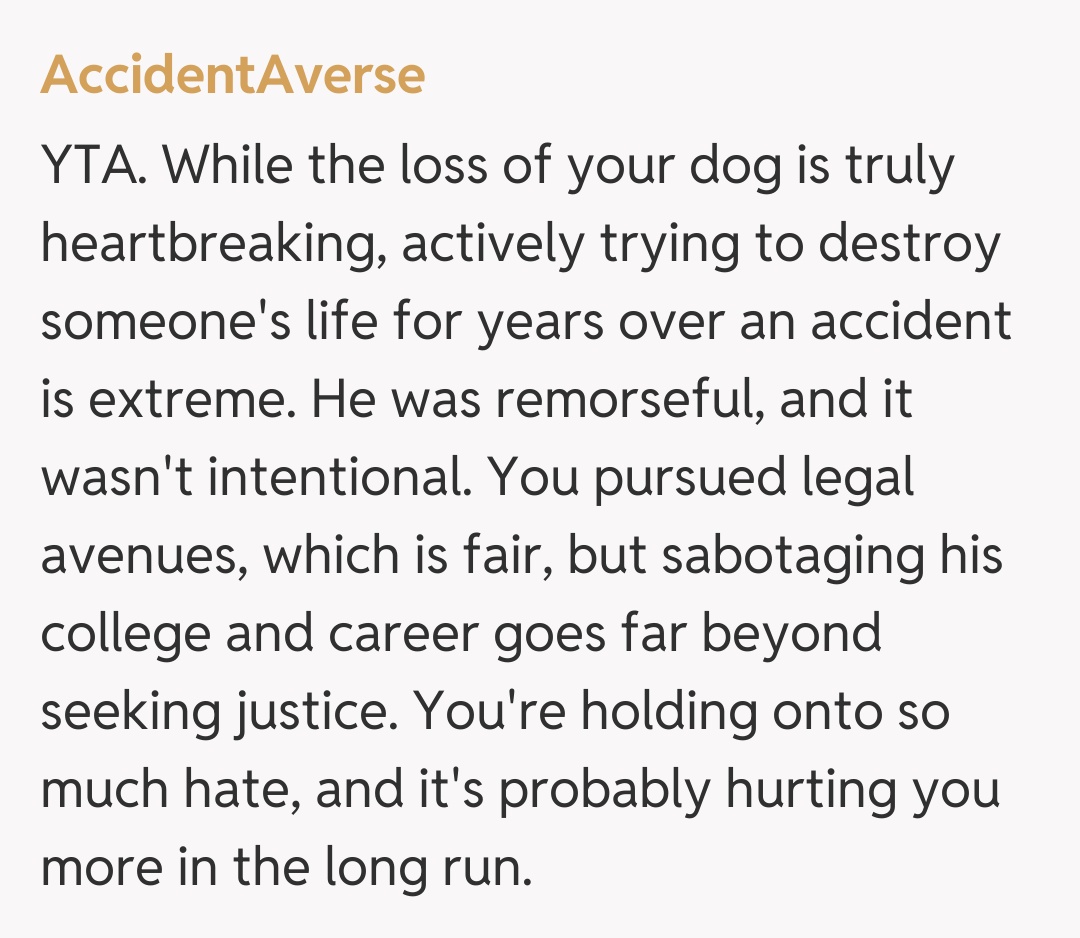 Comentariu de la AccidentAverse