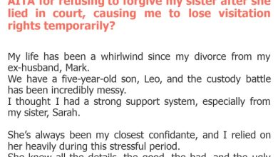 Photo of AITA for refusing to forgive my sister after she lied in court, causing me to lose visitation rights temporarily?