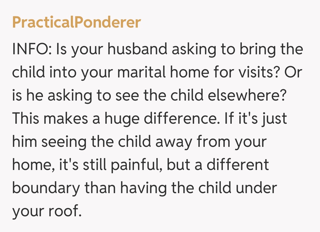 Comentariu de la PracticalPonderer