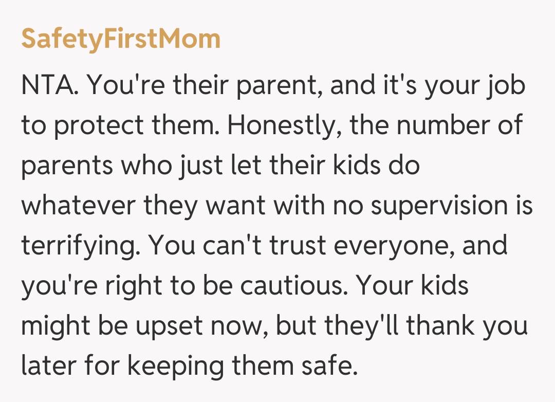 Comentariu de la SafetyFirstMom