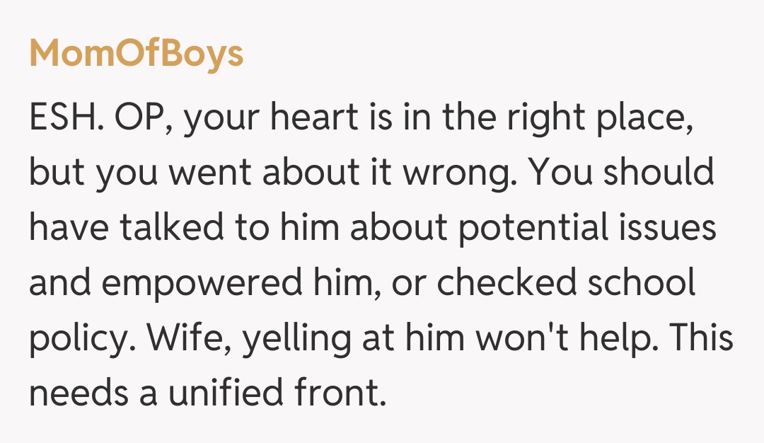 Comentariu de la MomOfBoys