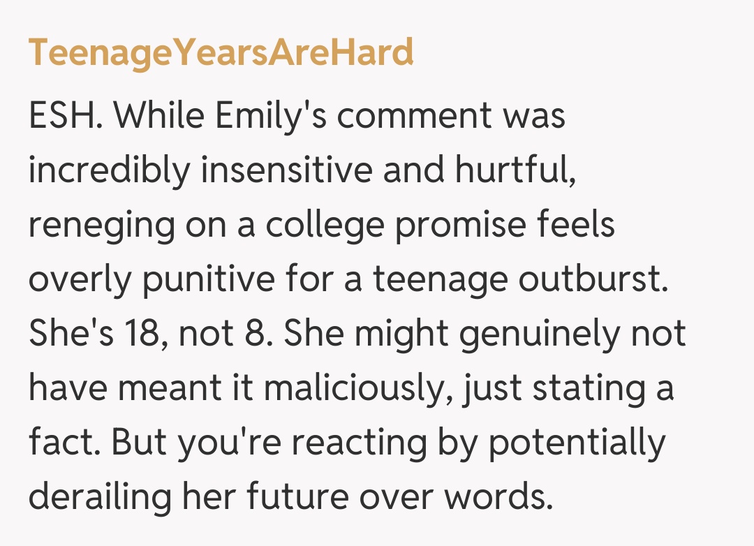 Comentariu de la TeenageYearsAreHard