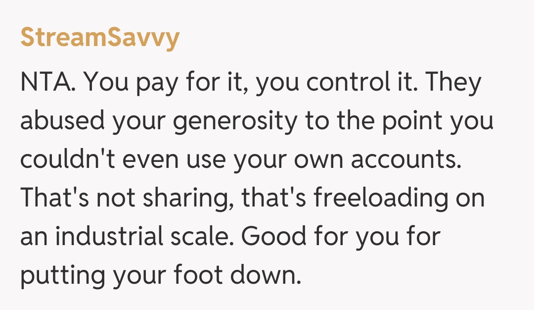 Comentariu de la StreamSavvy