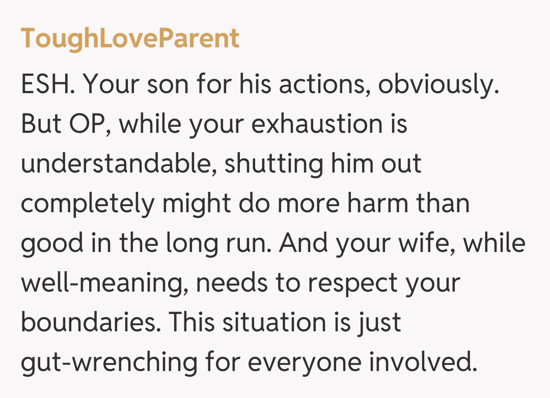 Comentariu de la ToughLoveParent