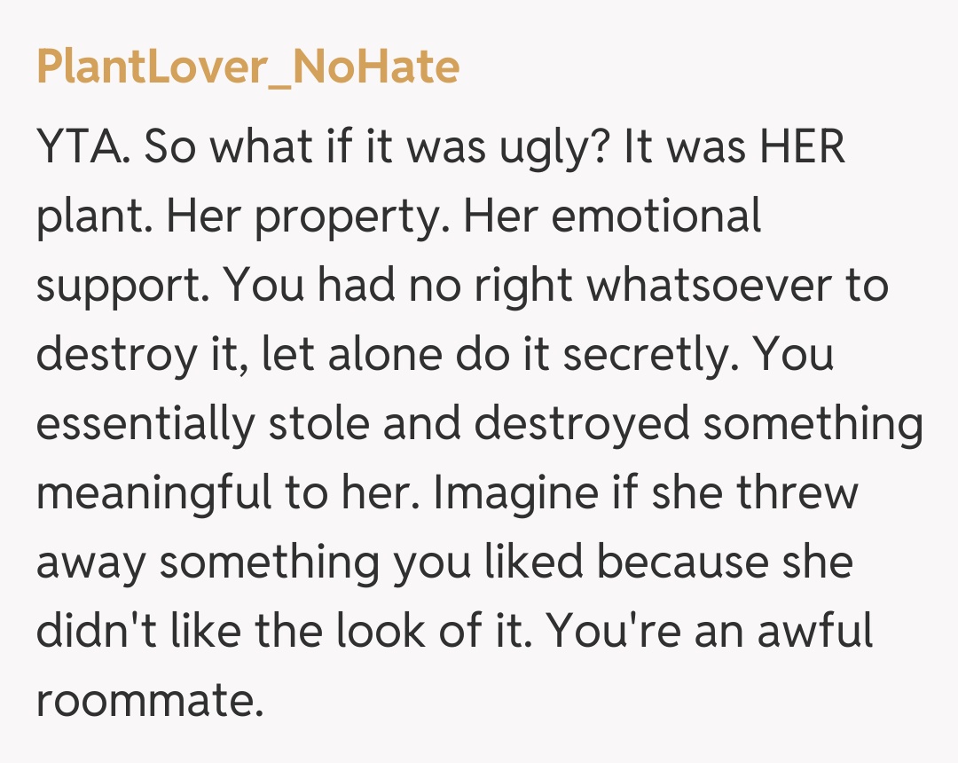 Comentariu de la PlantLover_NoHate