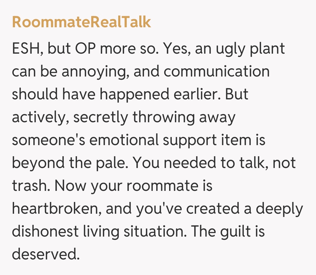 Comentariu de la RoommateRealTalk