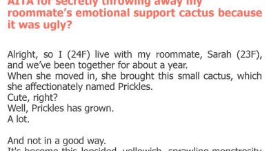 Photo of AITA for secretly throwing away my roommate’s emotional support cactus because it was ugly?