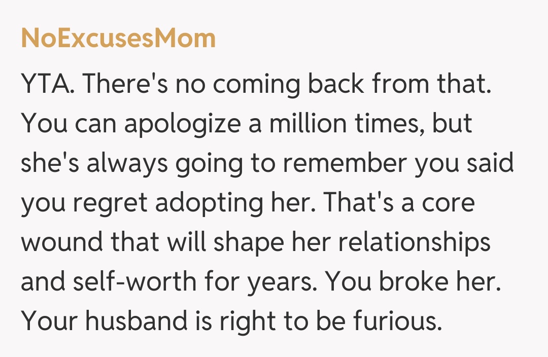 Comentariu de la NoExcusesMom