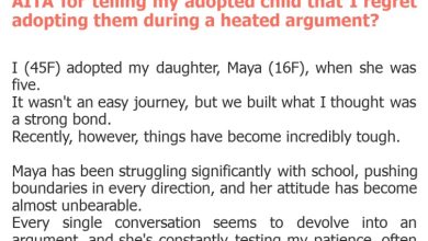 Photo of AITA for telling my adopted child that I regret adopting them during a heated argument?