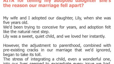 Photo of AITA for telling my adopted daughter she’s the reason our marriage fell apart?