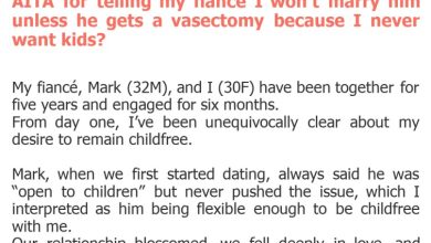 Photo of AITA for telling my fiancé I won’t marry him unless he gets a vasectomy because I never want kids?