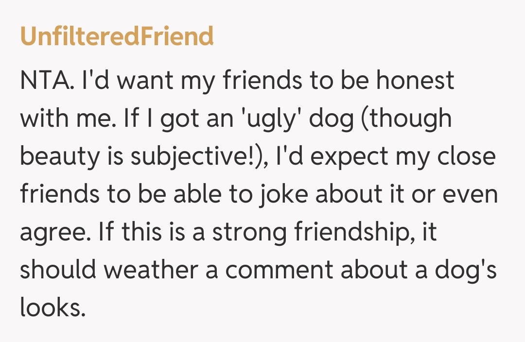 Comentariu de la UnfilteredFriend