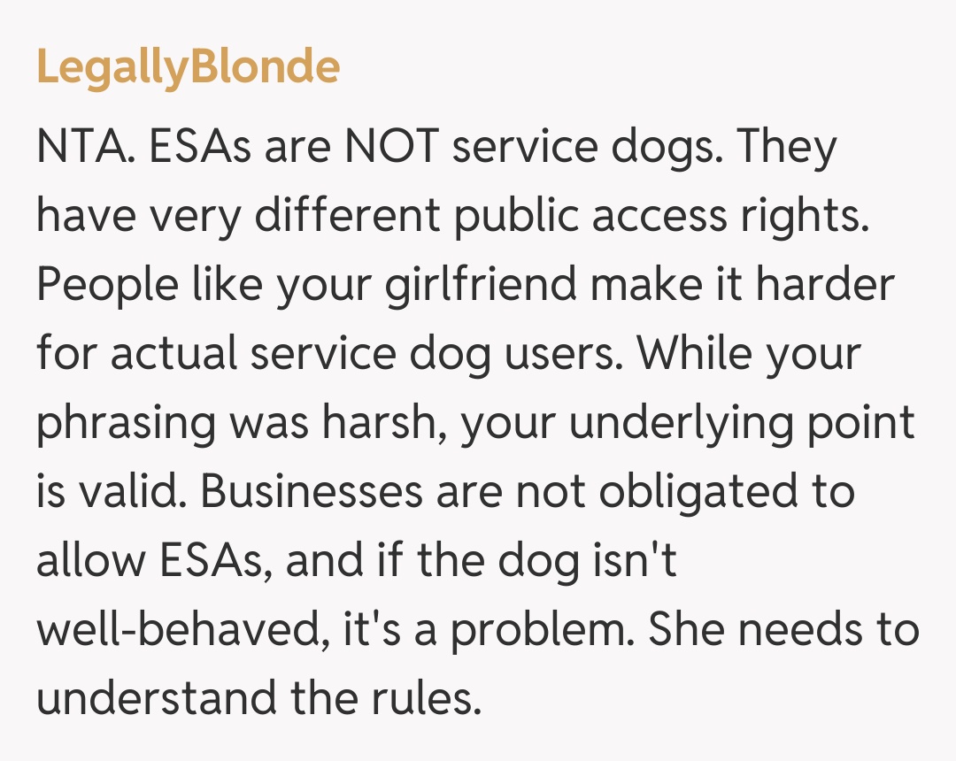 Comentariu de la LegallyBlonde