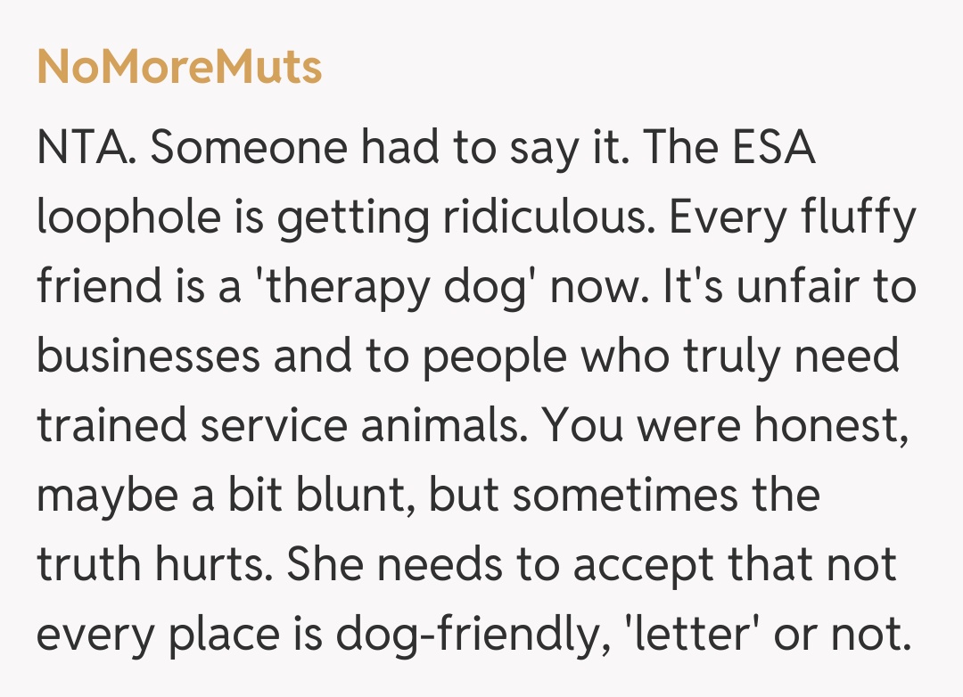 Comentariu de la NoMoreMuts