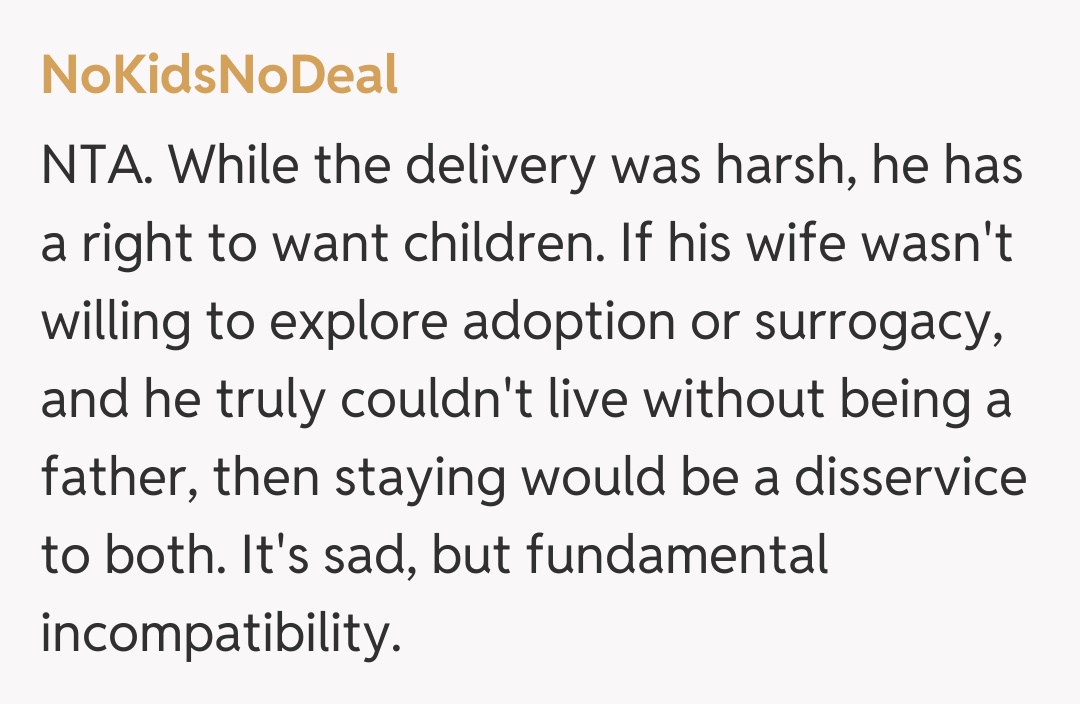 Comentariu de la NoKidsNoDeal