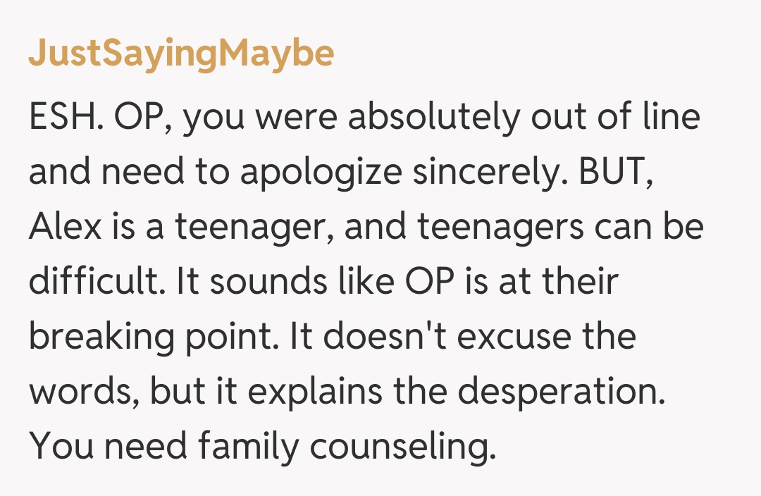 Comentariu de la JustSayingMaybe