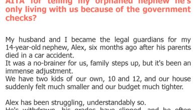 Photo of AITA for telling my orphaned nephew he’s only living with us because of the government checks?