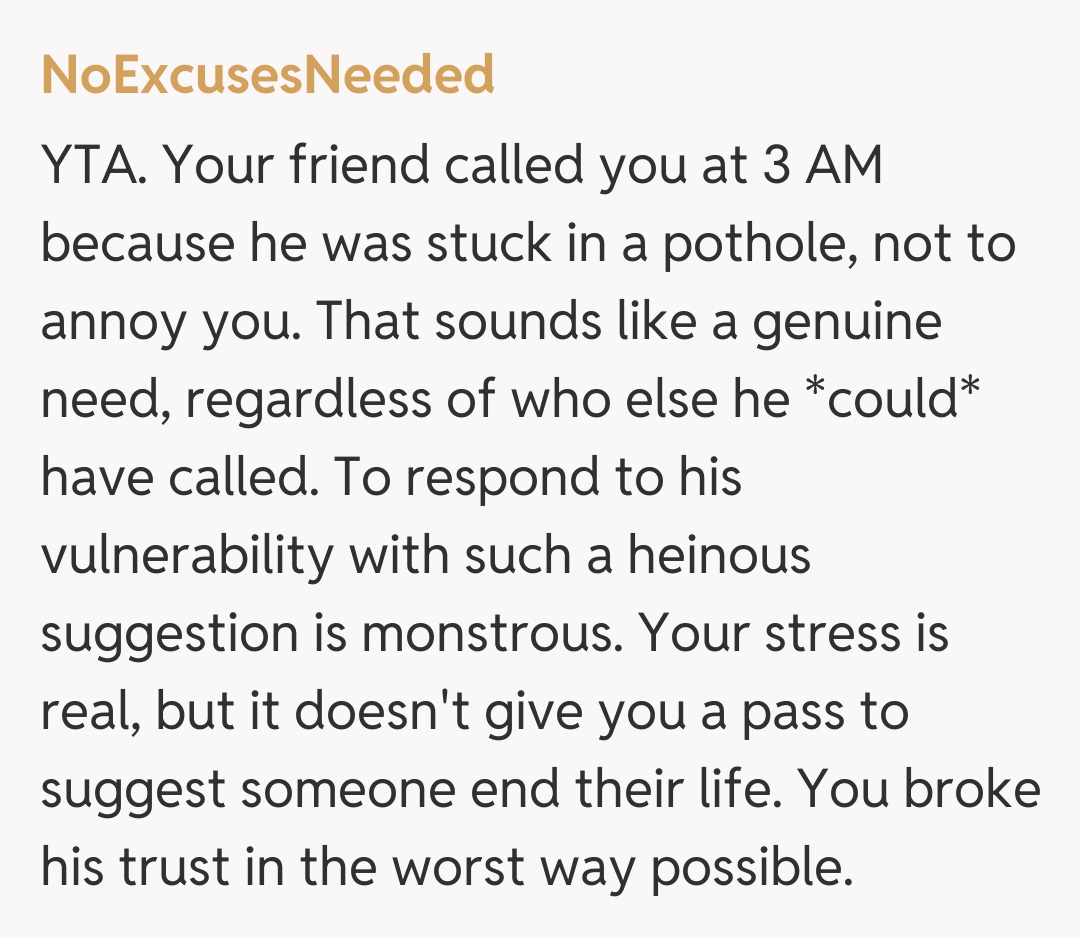 Comentariu de la NoExcusesNeeded