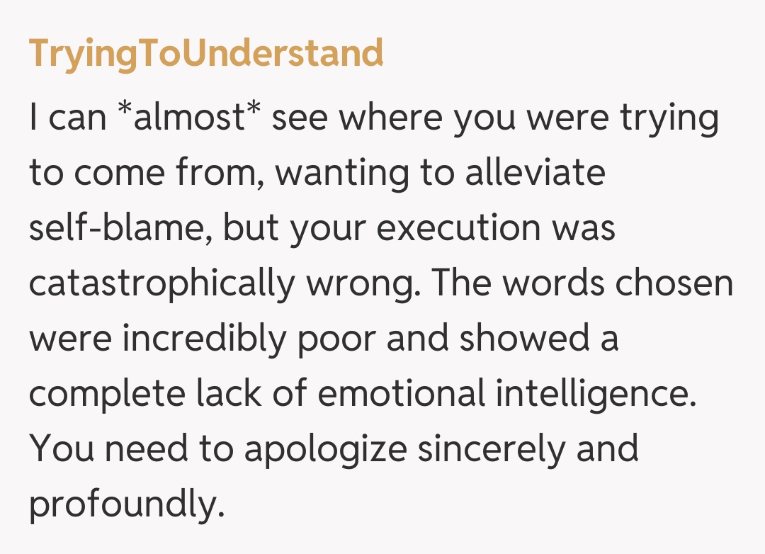 Comentariu de la TryingToUnderstand