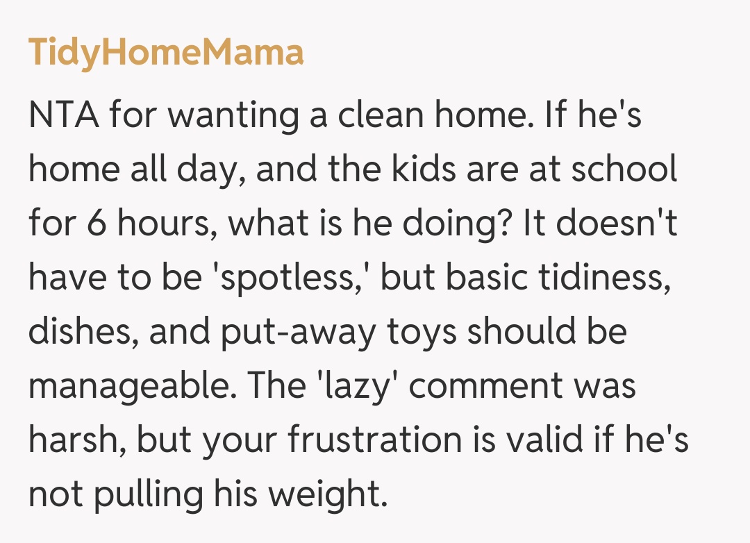 Comentariu de la TidyHomeMama