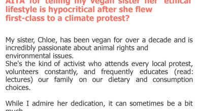 Photo of AITA for telling my vegan sister her ‘ethical’ lifestyle is hypocritical after she flew first-class to a climate protest?
