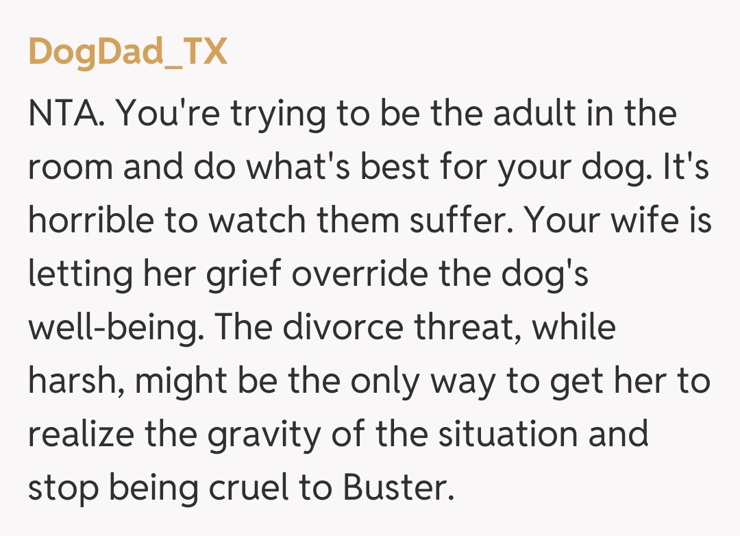 Comentariu de la DogDad_TX