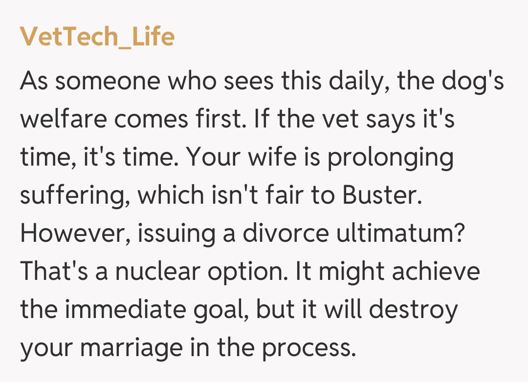 Comentariu de la VetTech_Life