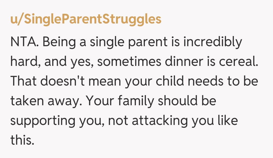 Comentariu de la u/SingleParentStruggles