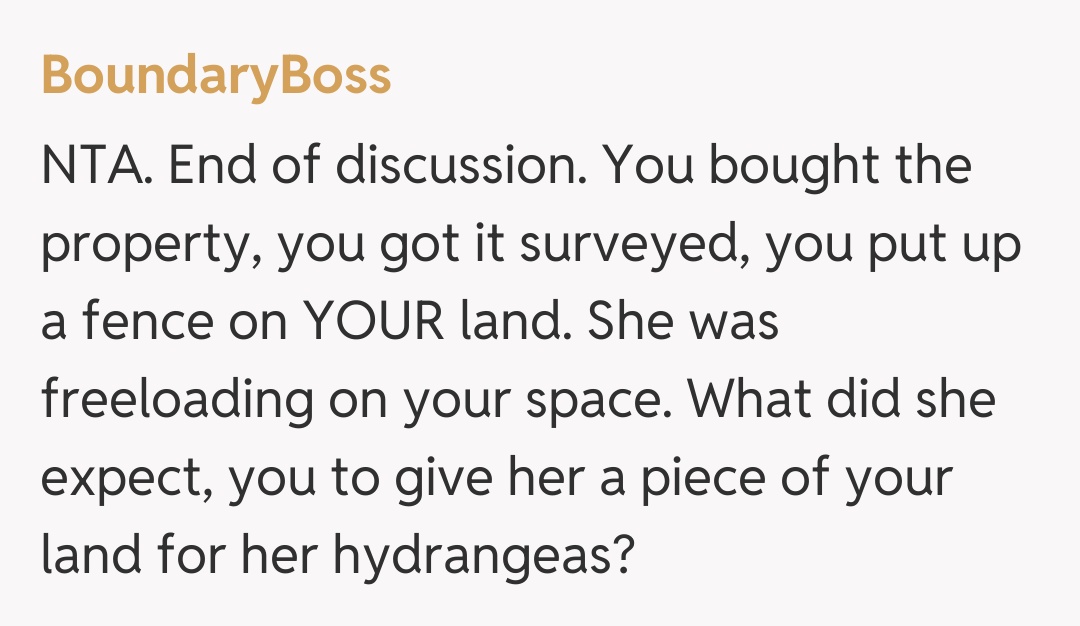 Comentariu de la BoundaryBoss