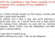 Photo of AITA for installing a new fence exactly on my property line, cutting off my neighbor’s plants?
