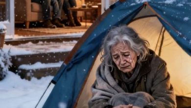 Photo of My Parents Abandoned My Grandmother at Dawn for Their Golden Child—They Never Expected the Truth That Followed