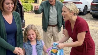 Photo of My Sister Humiliated My Daughter for Having No Father—So I Stopped Paying for the Entire Family Overnight