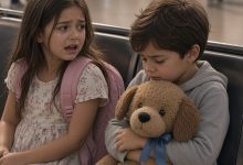 Photo of Their Stepmother Boarded the Plane Without Them… But the Old Stuffed Dog Held a Secret That Changed Everything