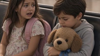 Photo of Their Stepmother Boarded the Plane Without Them… But the Old Stuffed Dog Held a Secret That Changed Everything