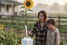 Photo of Every Year, My Son Planted Sunflowers for His Dead Twin Sister—Then We Found Them All Cut Down Except One