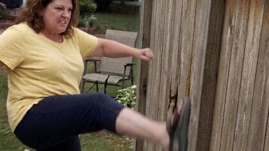Photo of My Neighbor Reported My Fence for Being Two Inches Too High—Then the City Inspector Looked Across the Street at HER Yard