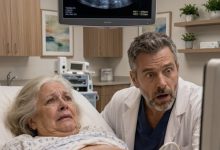 Photo of My 66-Year-Old Mother Claimed She Was Pregnant—Then I Learned She Was Carrying My Stolen Embryo to Steal a $19 Billion Empire