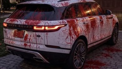 Photo of My Neighbor Covered My SUV in Red Paint for Revenge—By Morning, Police Discovered a 6-Year-Old Secret Hidden Underneath